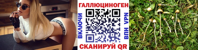 Псилоцибиновые грибы GOLDEN TEACHER  Вятские Поляны 