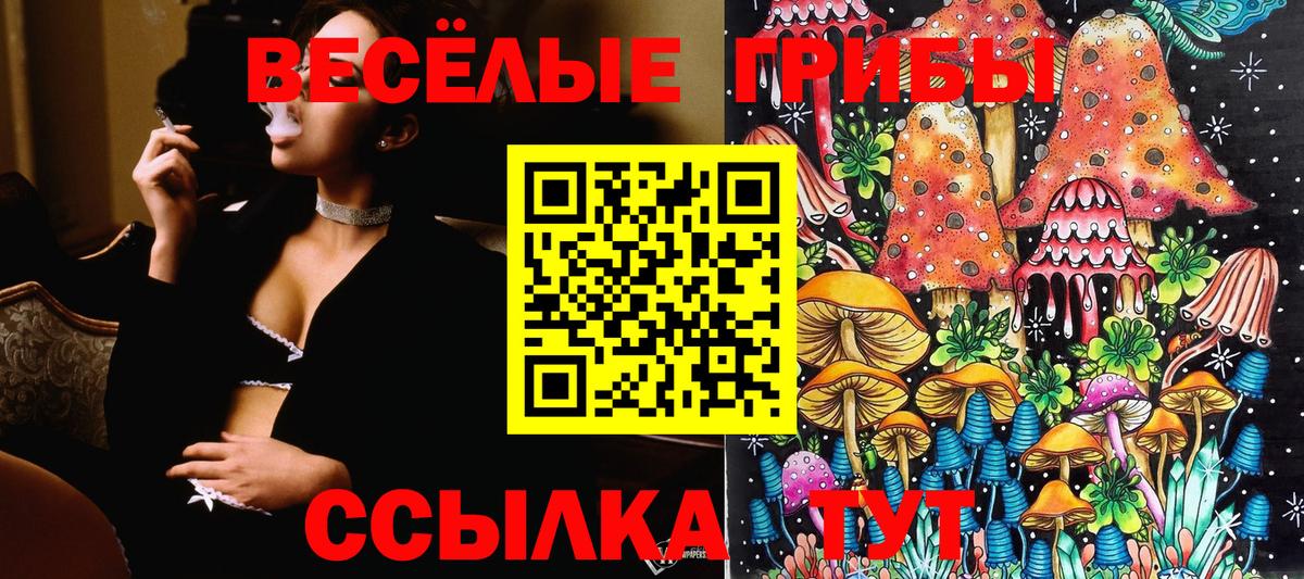 Псилоцибиновые грибы Cubensis Вятские Поляны