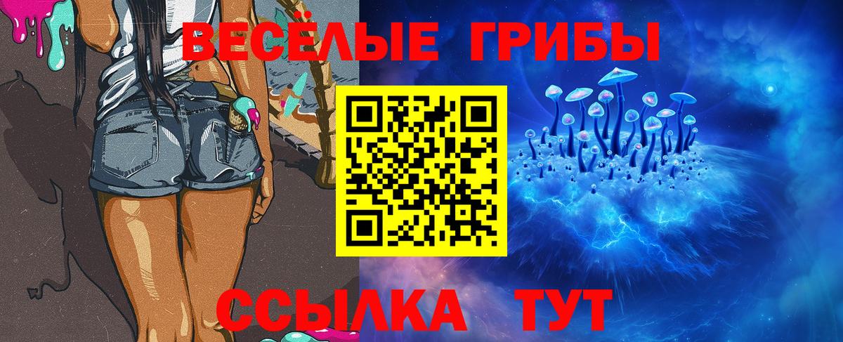 Галлюциногенные грибы GOLDEN TEACHER  Псилоцибиновые грибы Psilocybe  Вход с VPN  Вятские Поляны 